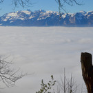Furx 220120_12.JPG