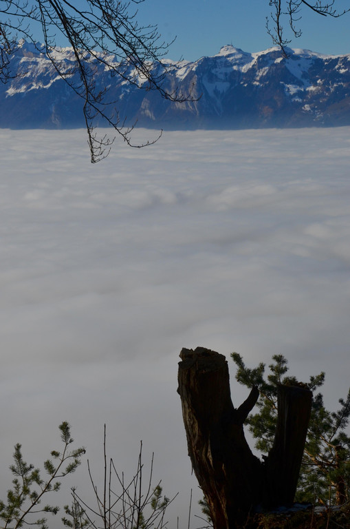 Furx 220120_13.JPG