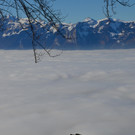Furx 220120_13.JPG