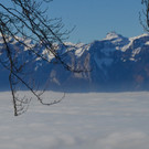 Furx 220120_14.JPG
