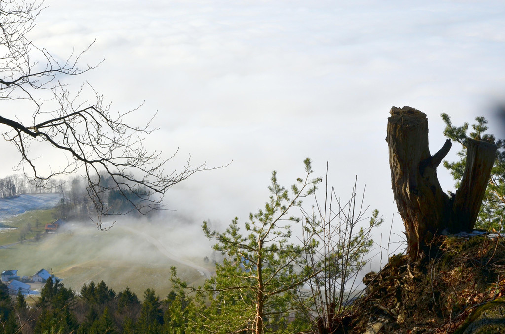 Furx 220120_16.JPG