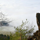 Furx 220120_16.JPG