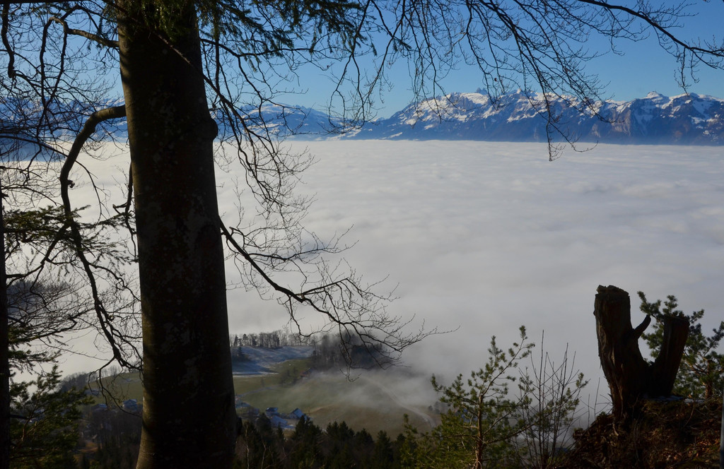 Furx 220120_17.JPG