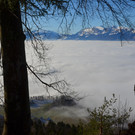 Furx 220120_17.JPG