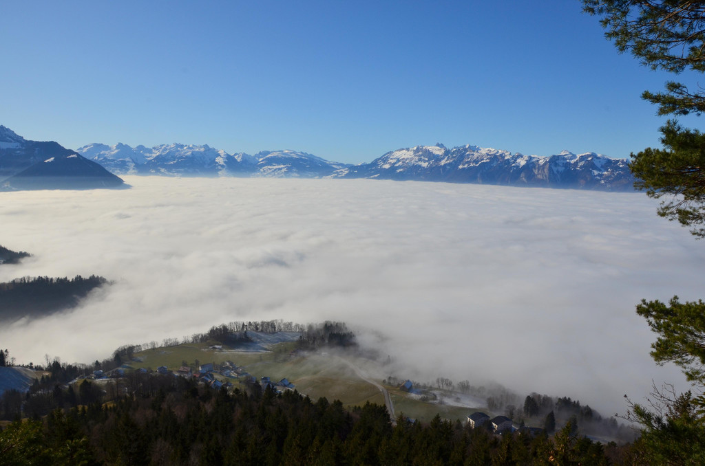 Furx 220120_18.JPG