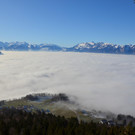 Furx 220120_18.JPG