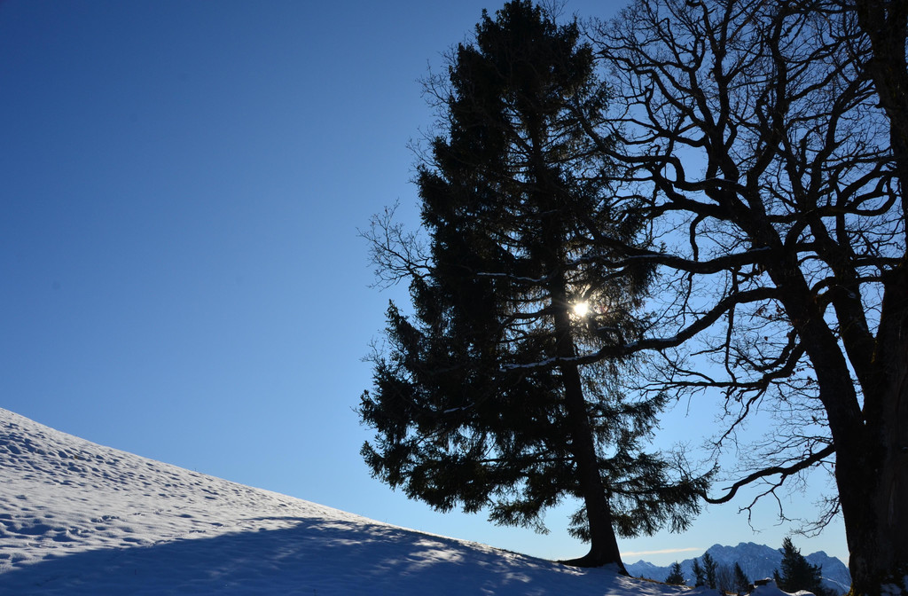 Furx 220120_19.JPG
