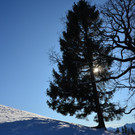 Furx 220120_19.JPG