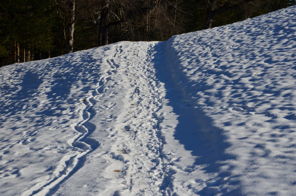 Furx 220120_21.JPG