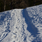Furx 220120_21.JPG