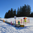 Furx 220120_22.JPG