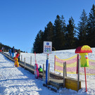 Furx 220120_23.JPG