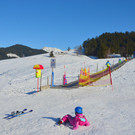 Furx 220120_26.JPG