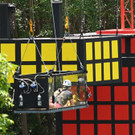 3_649809.jpg