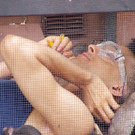 3_649973.jpg