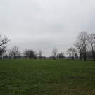 IMG_3178.JPG