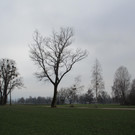 IMG_3181.JPG