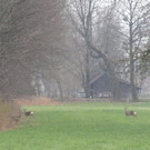 IMG_3187.JPG