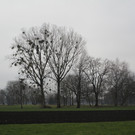 IMG_3188.JPG