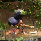 3_650725.jpg