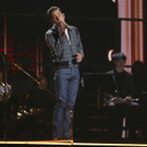 62nd_Annual_Grammy_Awards_-_Show_35142.jpg