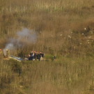 Helicopter_Crash_Kobe_Bryant_Killed_34869.jpg