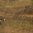 Helicopter_Crash_Kobe_Bryant_Killed_05812.jpg