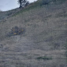 Helicopter_Crash_Kobe_Bryant_Killed_12341.jpg