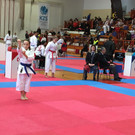 Konjice Horse Cup Slowenien