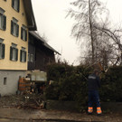 Sturm: Baum verlegt Straße in Wolfurt