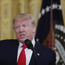 Trump_35272.jpg