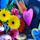AFP_1NH8KQ.jpg