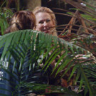 3_649851.jpg