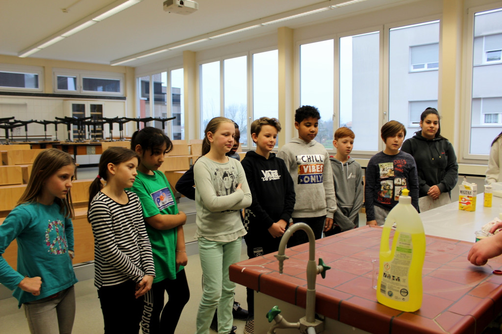 Mittelschule OFFENE T__R G Physik 22-01-2020 _3_.JPG