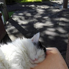 IMG-20200131-WA0006.jpg