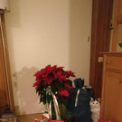 IMG-20200201-WA0012.jpg