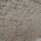 k-BILD5859.JPG