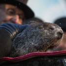 Groundhog_Day_41554.jpg