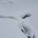 WhatsApp Image 2020-02-03 at 08_09_42 _1_.jpeg