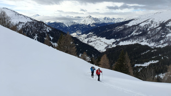 WhatsApp Image 2020-02-03 at 08_09_42 _2_.jpeg