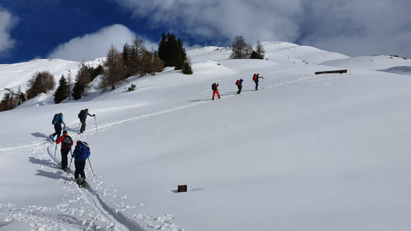 WhatsApp Image 2020-02-03 at 08_09_42 _4_.jpeg