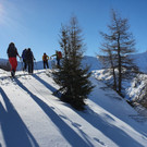 WhatsApp Image 2020-02-03 at 08_09_43 _3_.jpeg