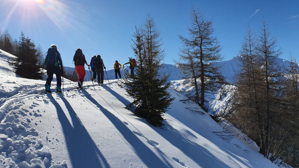 WhatsApp Image 2020-02-03 at 08_09_43 _3_.jpeg