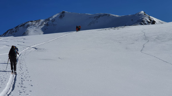 WhatsApp Image 2020-02-03 at 08_09_43 _4_.jpeg