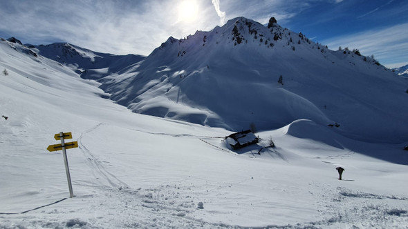 WhatsApp Image 2020-02-03 at 08_09_44 _3_.jpeg