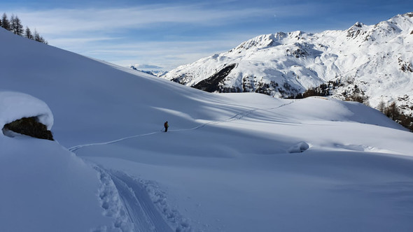 WhatsApp Image 2020-02-03 at 08_09_44 _4_.jpeg