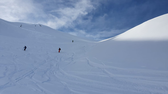 WhatsApp Image 2020-02-03 at 08_09_44.jpeg