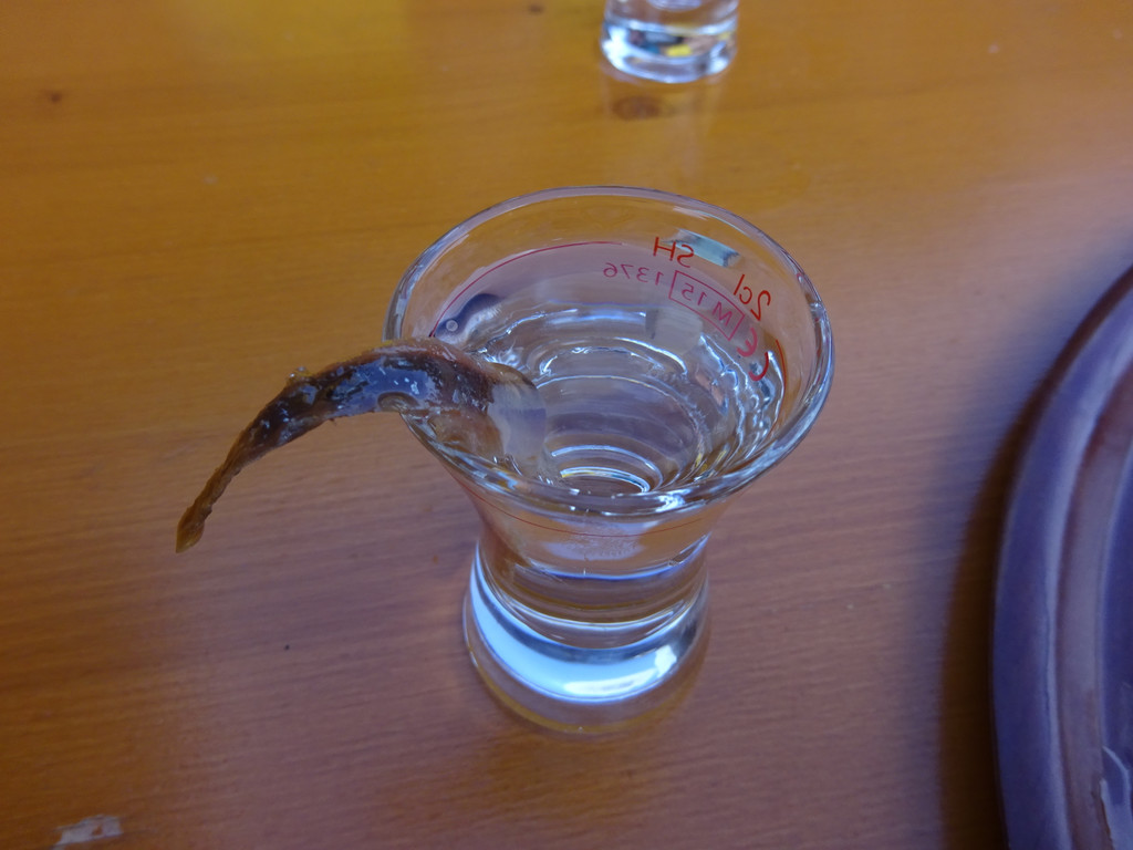 19_ Damu__ls 2020.JPG