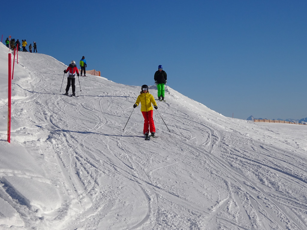 28_ Damu__ls 2020.JPG