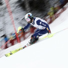 France_Alpine_Skiing_World_Cup_44155.jpg